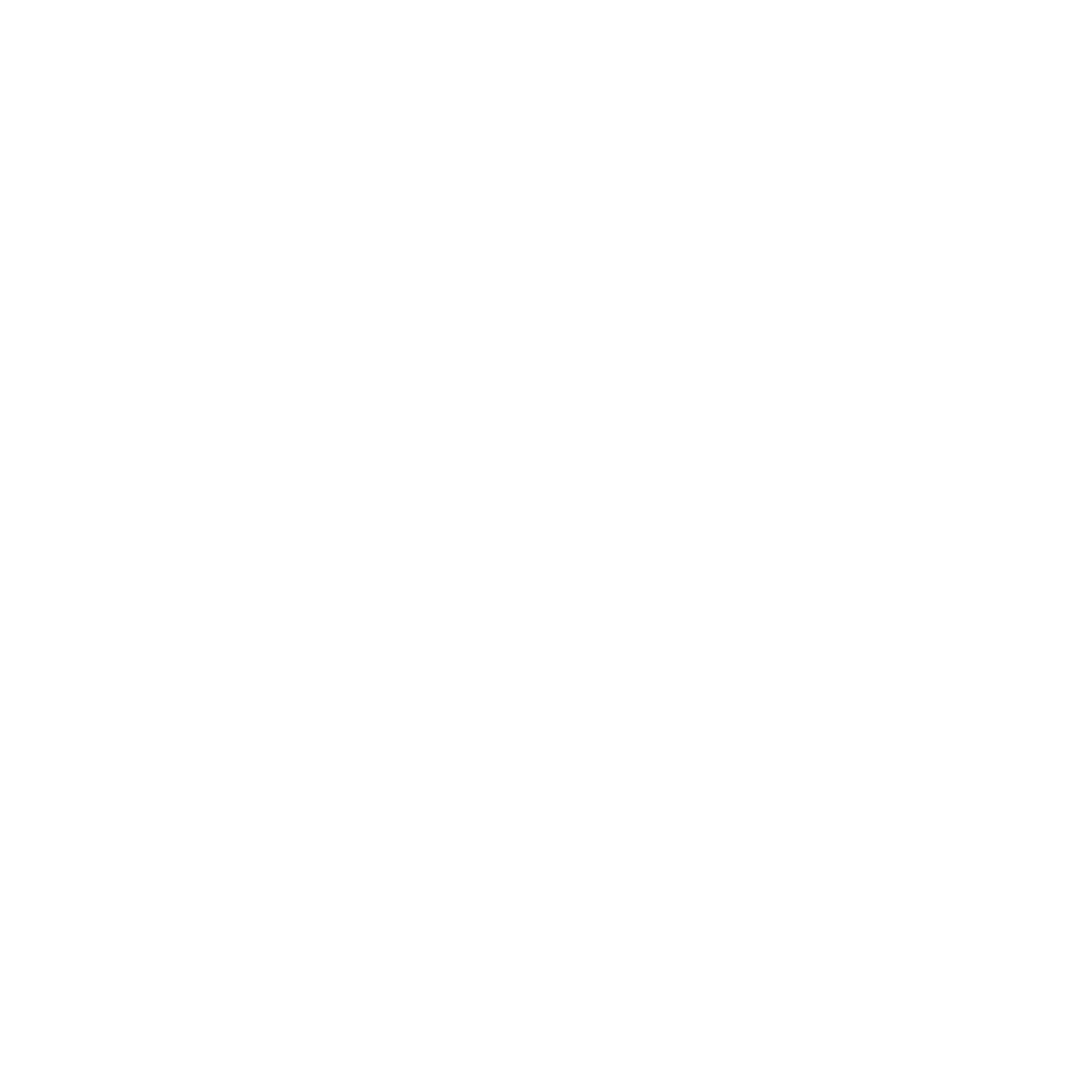 ANTI Agency